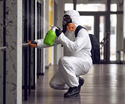 Mold Odor Removal Services in Southgate, KY