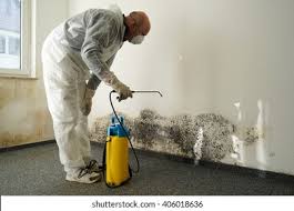 Mold Remediation for Vacation Homes in Southgate, KY